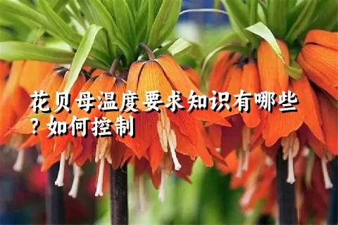 花贝母温度要求知识有哪些？如何控制