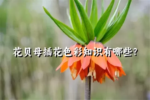 花贝母插花色彩知识有哪些？