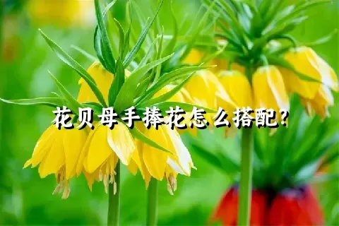 花贝母手捧花怎么搭配？