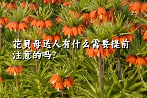 花贝母送人有什么需要提前注意的吗？