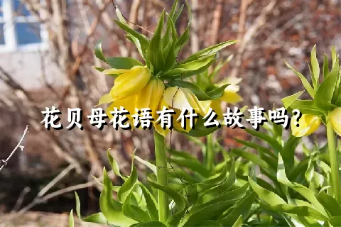 花贝母花语有什么故事吗？