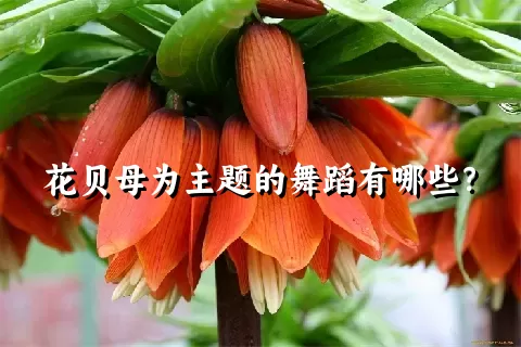 花贝母为主题的舞蹈有哪些？