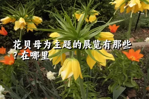 花贝母为主题的展览有那些？在哪里