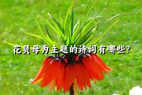 花贝母为主题的诗词有哪些？