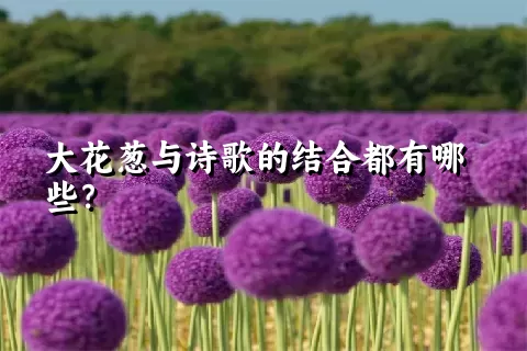 大花葱与诗歌的结合都有哪些？