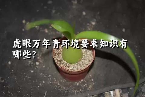 虎眼万年青环境要求知识有哪些？