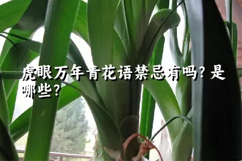 虎眼万年青花语禁忌有吗？是哪些？