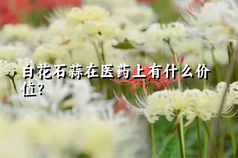 白花石蒜在医药上有什么价值？