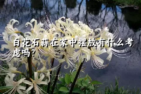 白花石蒜在家中摆放有什么考虑吗？