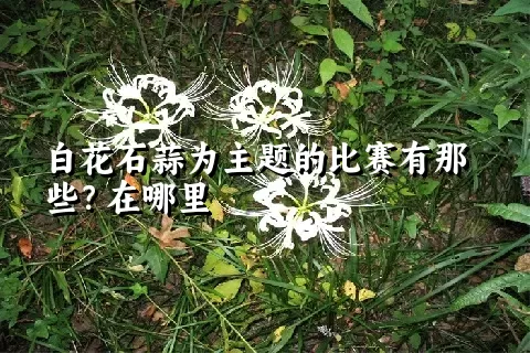 白花石蒜为主题的比赛有那些？在哪里