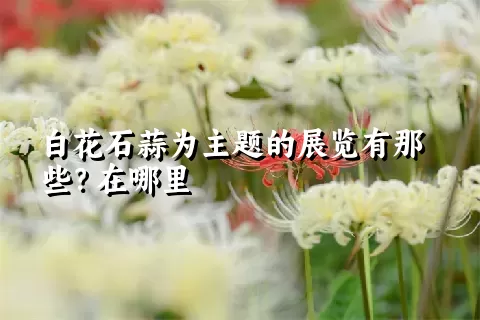 白花石蒜为主题的展览有那些？在哪里