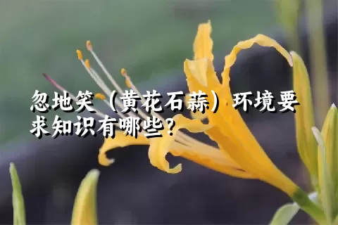 忽地笑（黄花石蒜）环境要求知识有哪些？