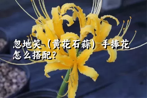 忽地笑（黄花石蒜）手捧花怎么搭配？