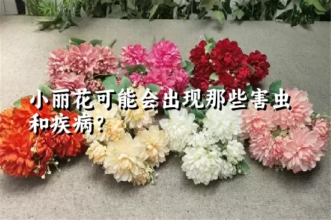 小丽花可能会出现那些害虫和疾病？