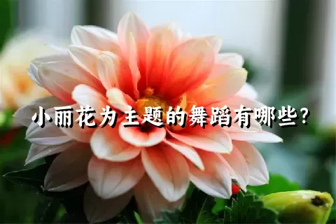 小丽花为主题的舞蹈有哪些？