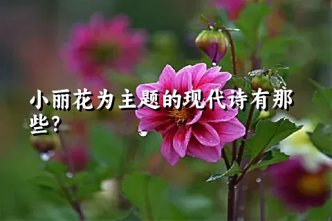 小丽花为主题的现代诗有那些？