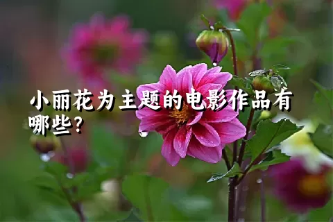 小丽花为主题的电影作品有哪些？