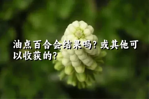 油点百合会结果吗？或其他可以收获的？