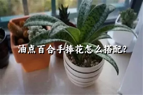 油点百合手捧花怎么搭配？