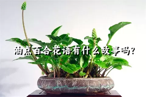 油点百合花语有什么故事吗？