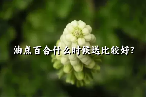 油点百合什么时候送比较好？