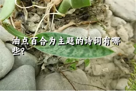 油点百合为主题的诗词有哪些？