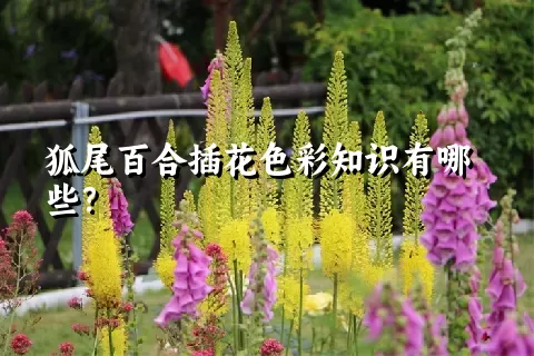 狐尾百合插花色彩知识有哪些？