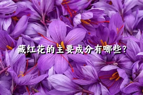 藏红花的主要成分有哪些？