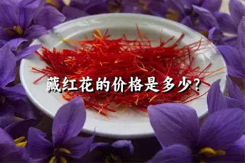 藏红花的价格是多少？