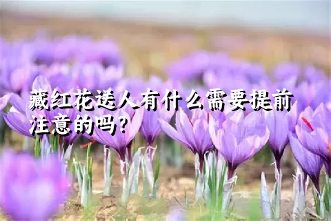 藏红花送人有什么需要提前注意的吗？