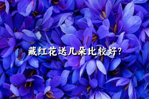 藏红花送几朵比较好？