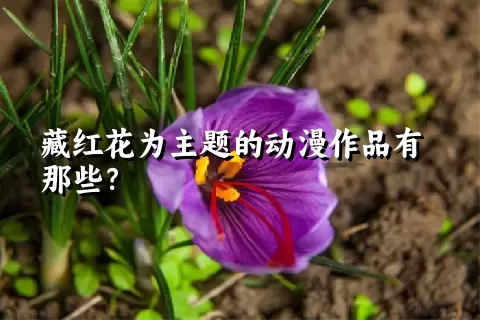 藏红花为主题的动漫作品有那些？