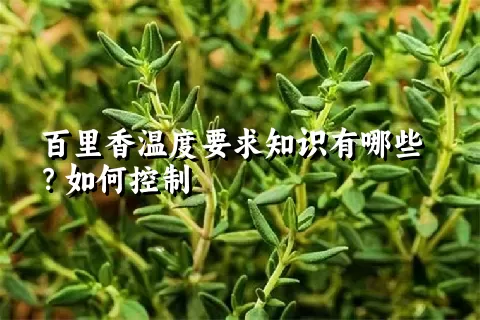 百里香温度要求知识有哪些？如何控制