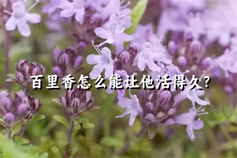 百里香怎么能让他活得久？