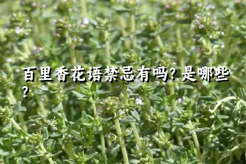 百里香花语禁忌有吗？是哪些？