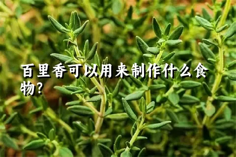 百里香可以用来制作什么食物？