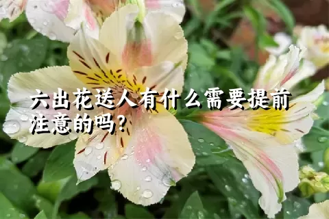 六出花送人有什么需要提前注意的吗？