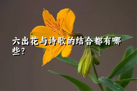 六出花与诗歌的结合都有哪些？