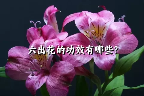 六出花的功效有哪些？