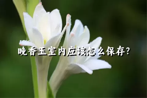 晚香玉室内应该怎么保存？