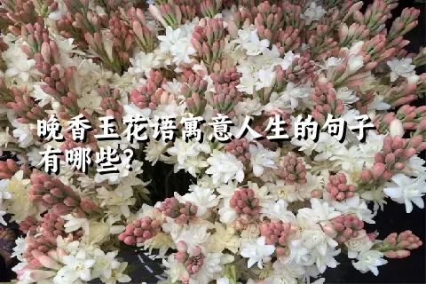 晚香玉花语寓意人生的句子有哪些？