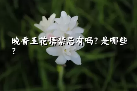 晚香玉花语禁忌有吗？是哪些？