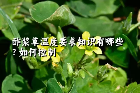 酢浆草温度要求知识有哪些？如何控制