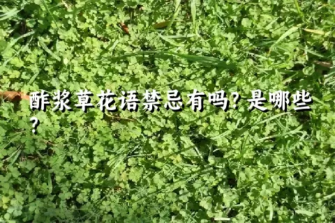 酢浆草花语禁忌有吗？是哪些？