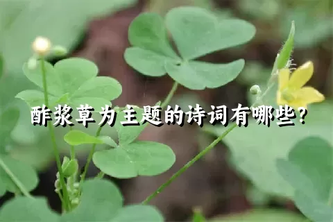 酢浆草为主题的诗词有哪些？