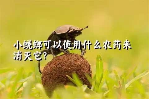 小蜣螂可以使用什么农药来消灭它？