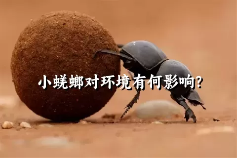 小蜣螂对环境有何影响？