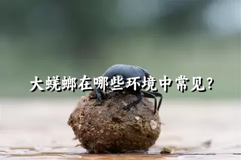 大蜣螂在哪些环境中常见？