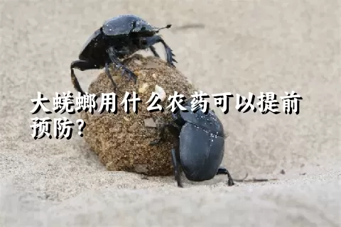 大蜣螂用什么农药可以提前预防？