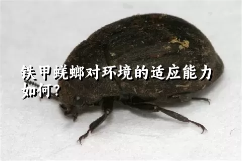 铁甲蜣螂对环境的适应能力如何？